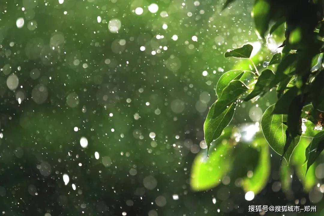 立秋到,雨不停,嵩縣這幾個地方雨天來絕美!