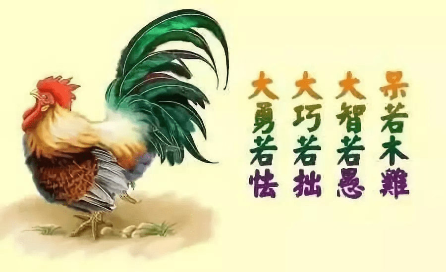 什么俱下 来自搜狐网