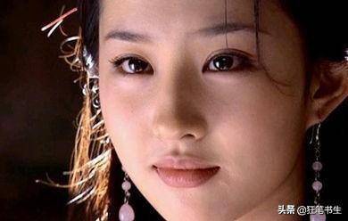 王语嫣慕容复一心想要光复大燕国,此时恰好遇上西夏的银川公主招选