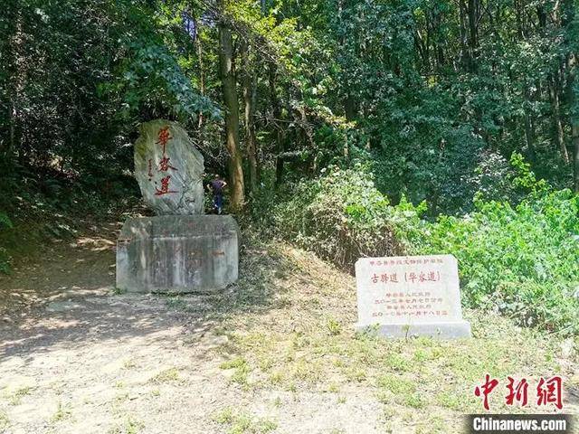 华容稻飘香"华容道"