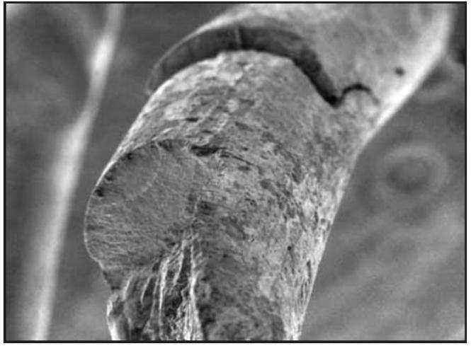 钢丝绳弯曲疲劳断丝分析