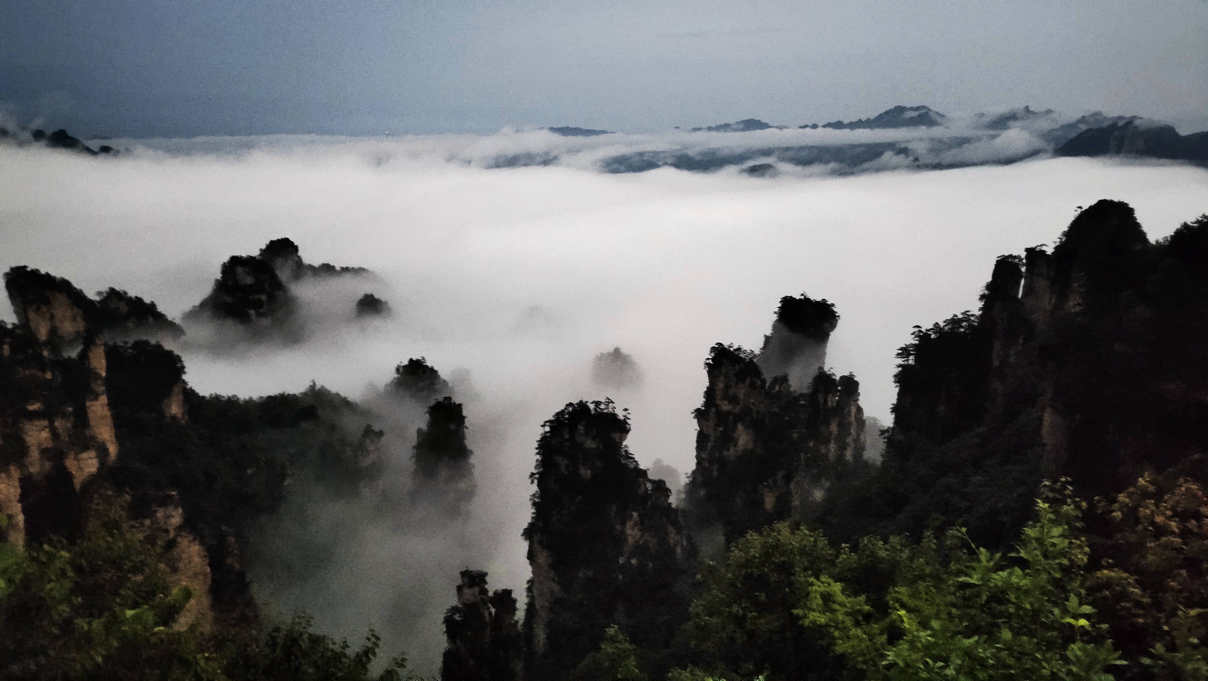 张家界武陵源立秋后天子山首场云海如仙境