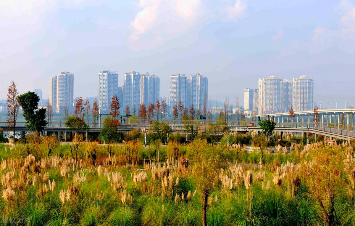 遂宁市河东五彩城市湿地公园城市大观路段,10月将与市民见面!