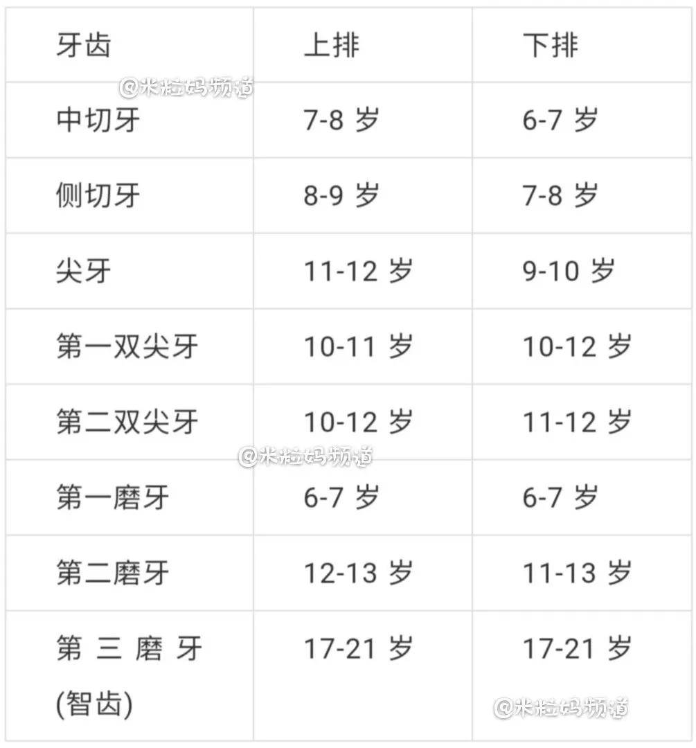 儿童牙齿对照表图片