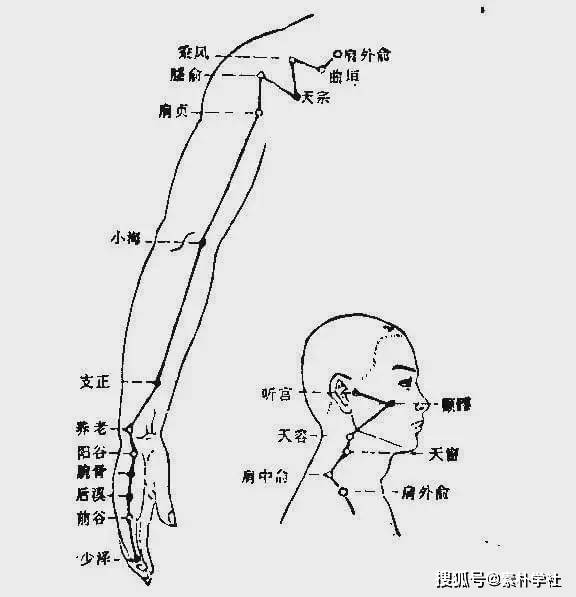 十二經脈循行要穴及各部常見病症總結