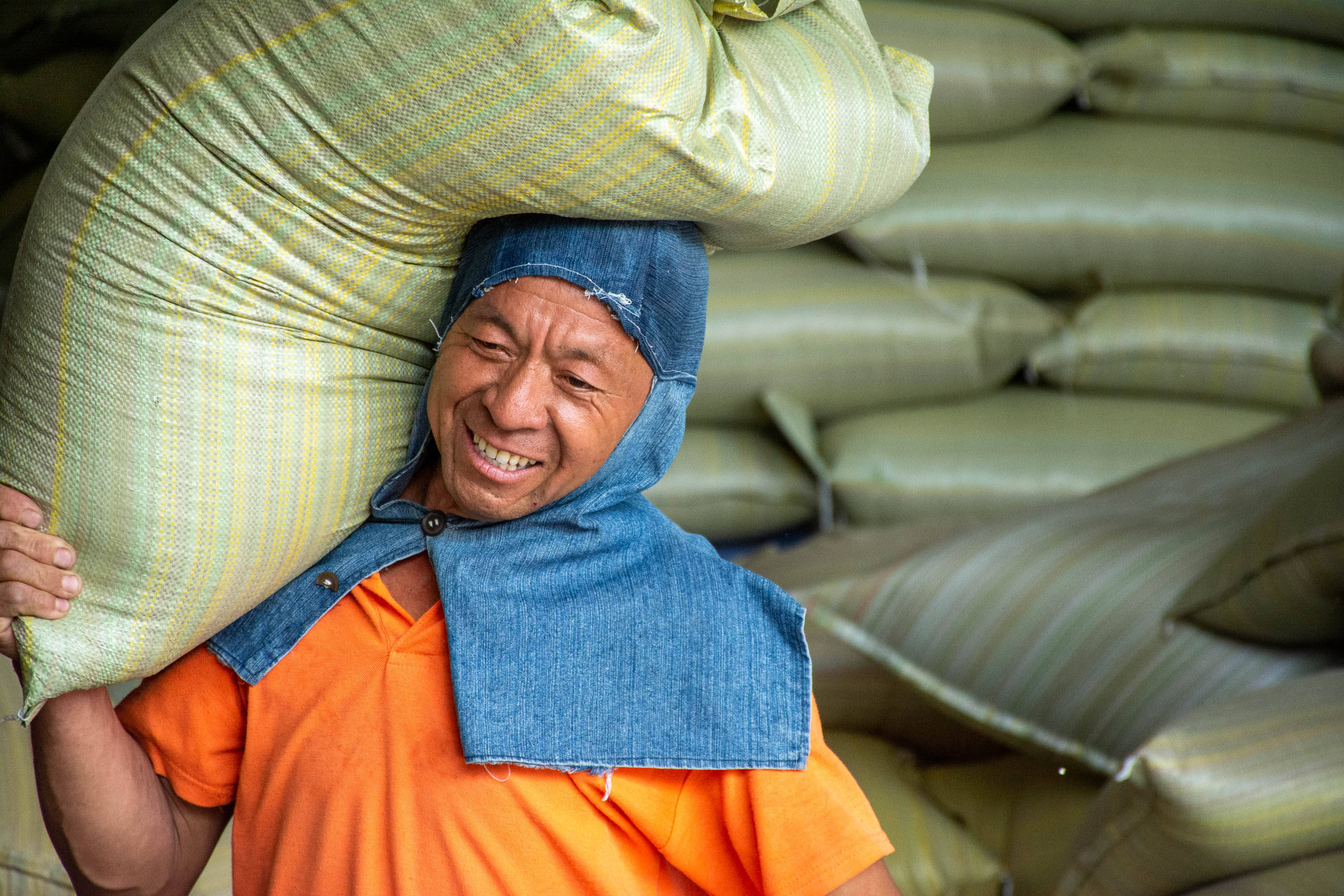原创年产一百万吨小麦够全国人民吃一周该县是这样把粮食运出去的