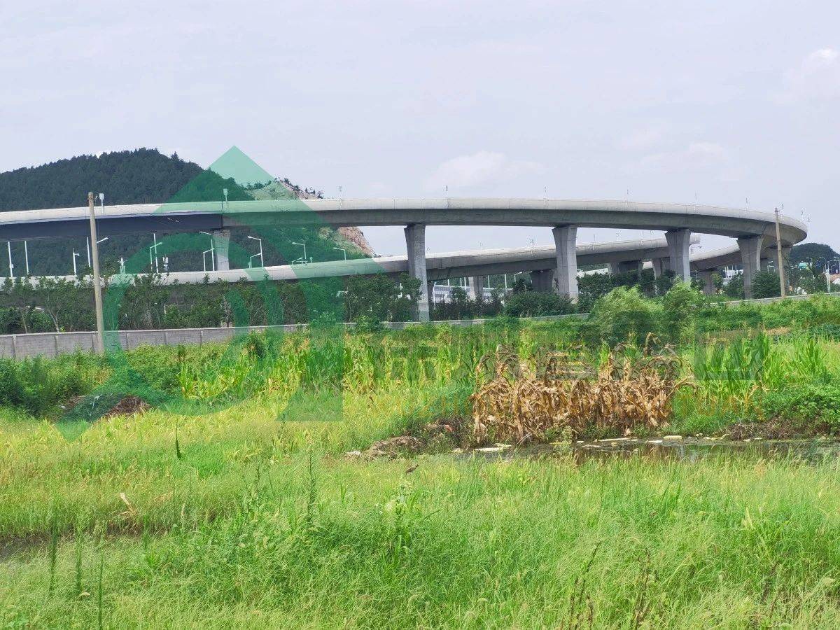 西边是彭祖大道.