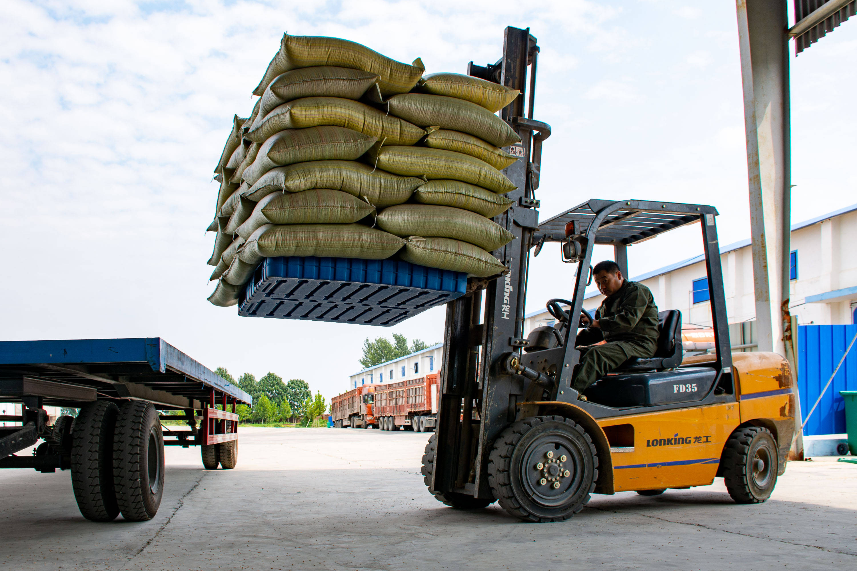 原创年产一百万吨小麦够全国人民吃一周该县是这样把粮食运出去的