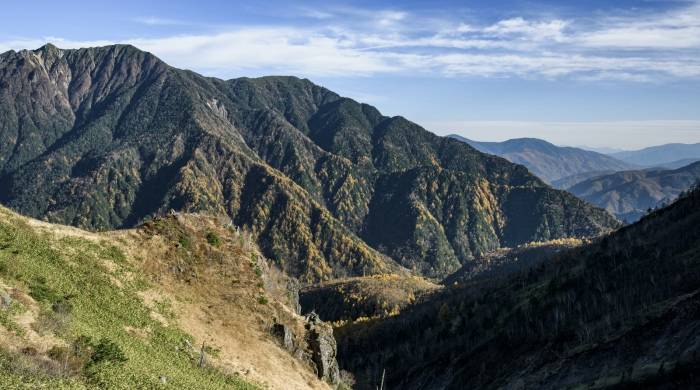 TCL电视提醒商家多备点货，面板涨价要催生彩电一轮涨价潮?-家电圈官网