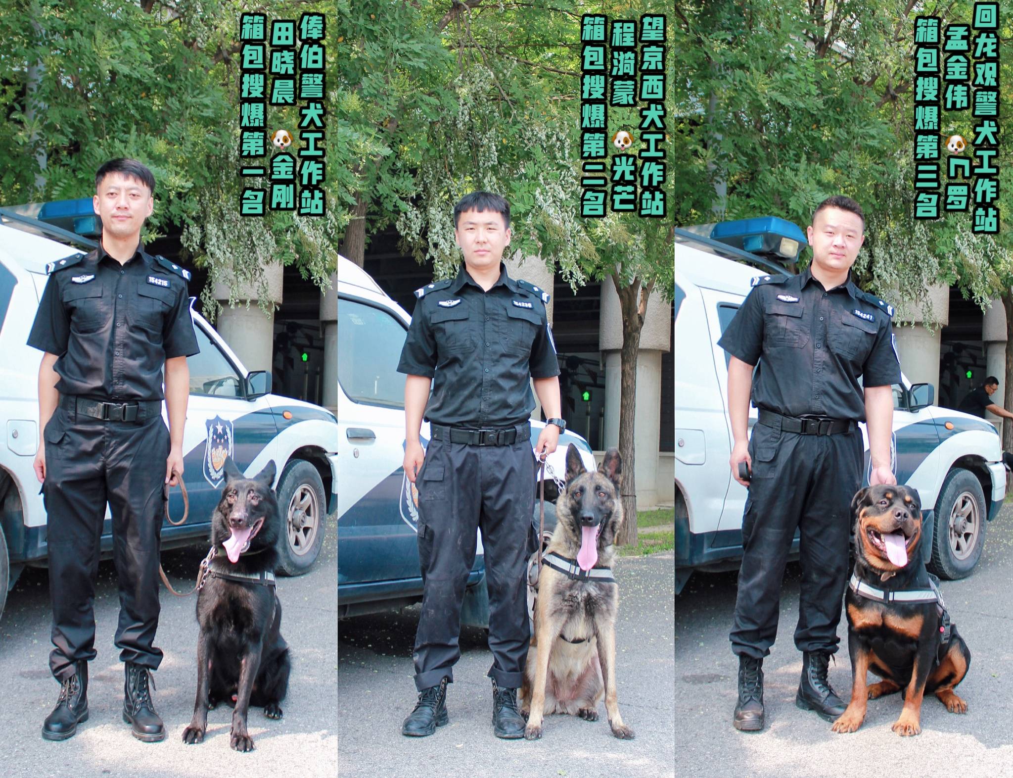 北京公交警方组织开展警犬技术大练兵大比武