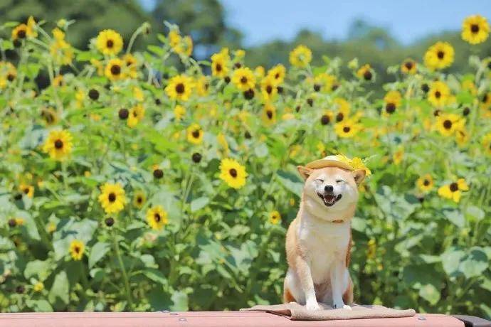 图片[2] - 【xizi被窝段子20200818】人生的旅程就是这样：用大把时间迷茫 在几个瞬间成长 - xizi