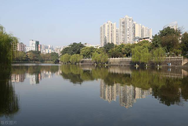 羊山湖村第一书记罗阳介绍,村里引进9名业主种植中药材,其中,蒋定强