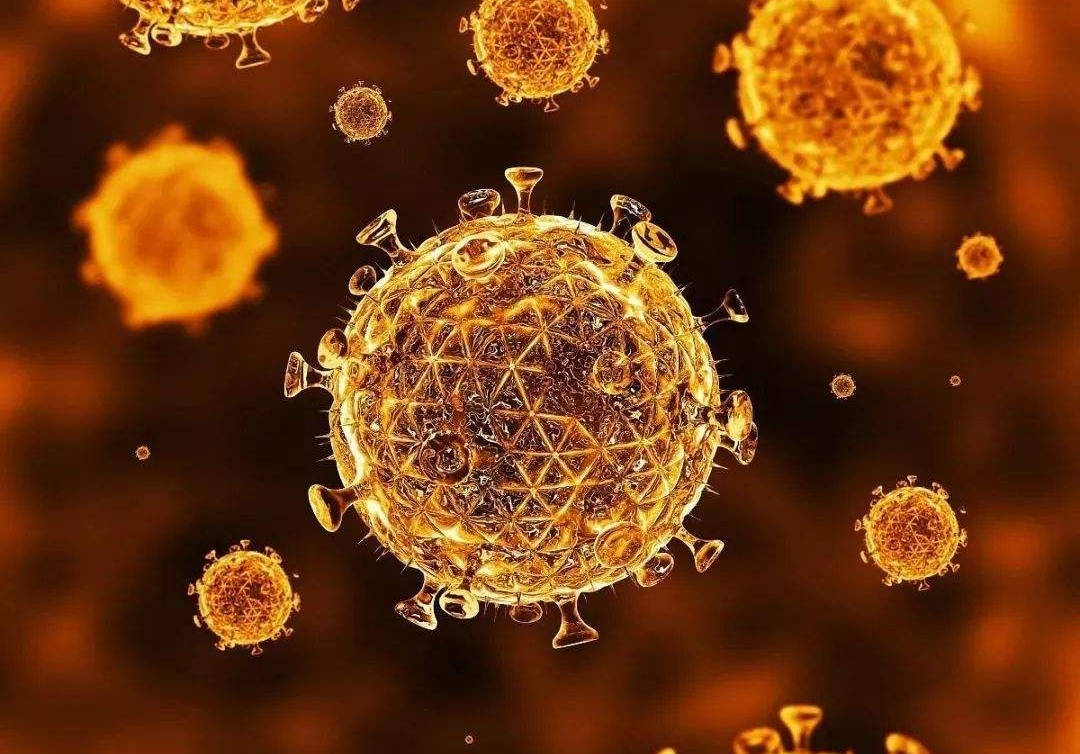 病毒美貌图鉴 | 听说病毒长得越好看的越致命?