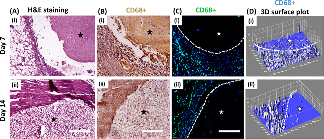 dab染色 来自搜狐网