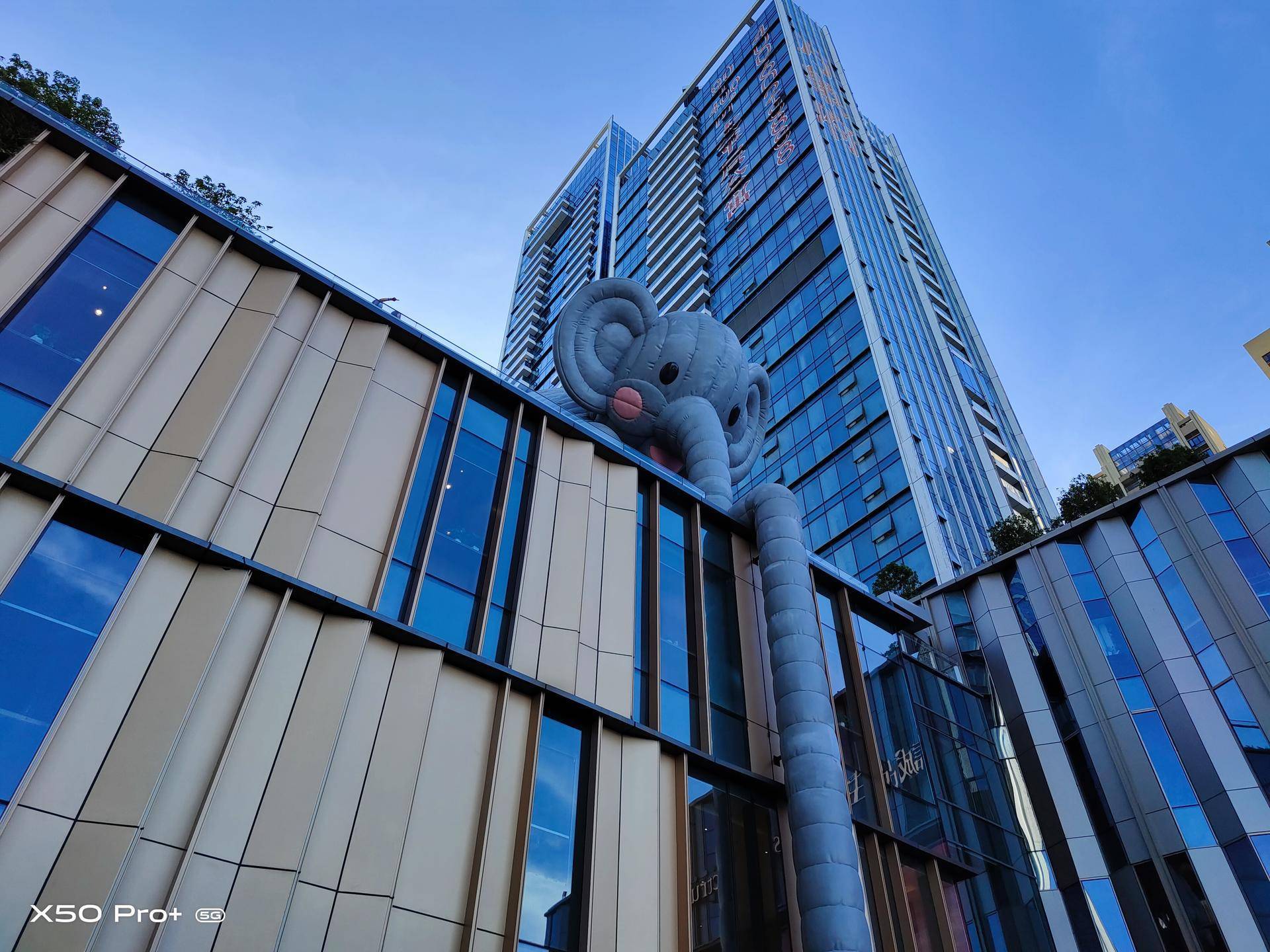 vivox50pro拍照如何实拍样张完美诠释专业水准