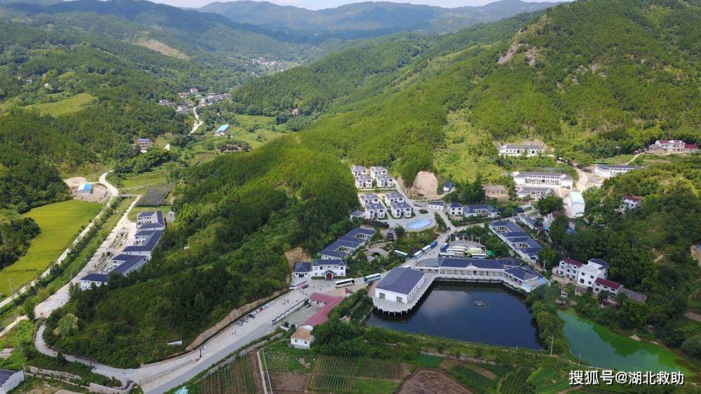 湖北大学生闻彬军回英山家乡创业脱贫致富不忘乡亲