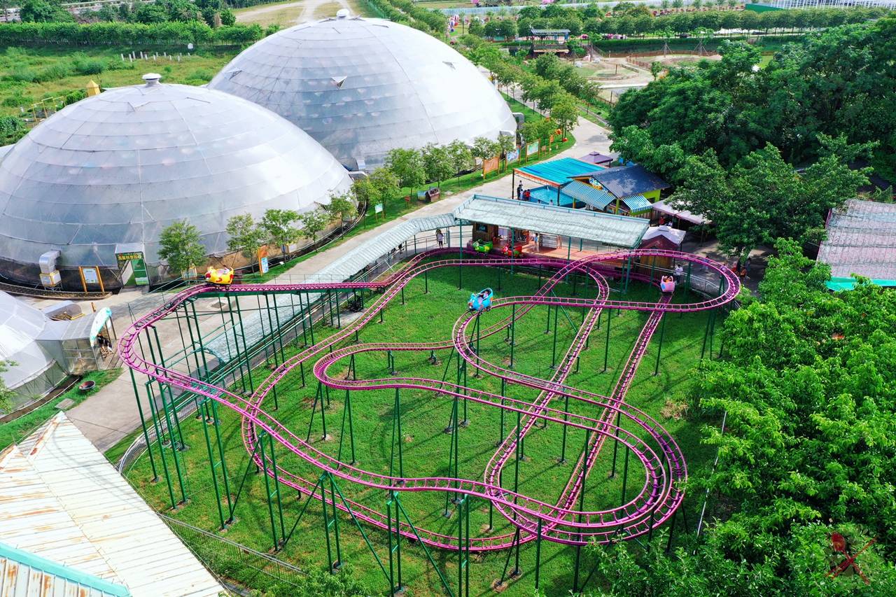 带娃坐小火车穿越花海,打卡佛山最大水上乐园