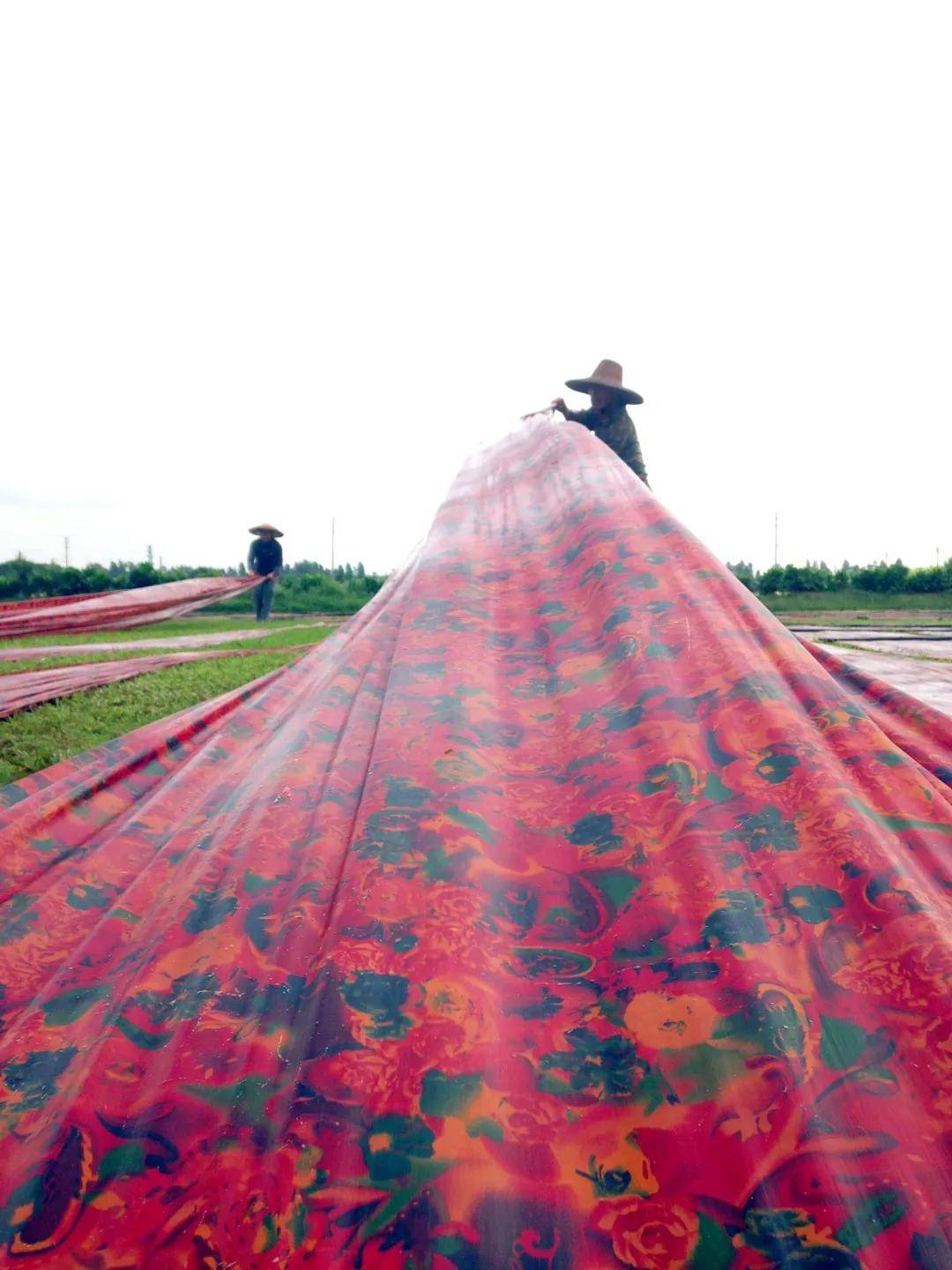 即将出版 挖掘南沙榄核非遗——香云纱文化的匠心之作_榄核镇