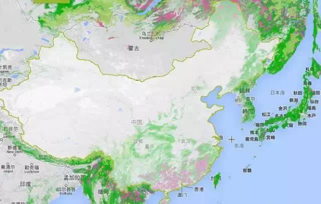 谷歌卫星地图全球森林监察系统揭示中国雾霾