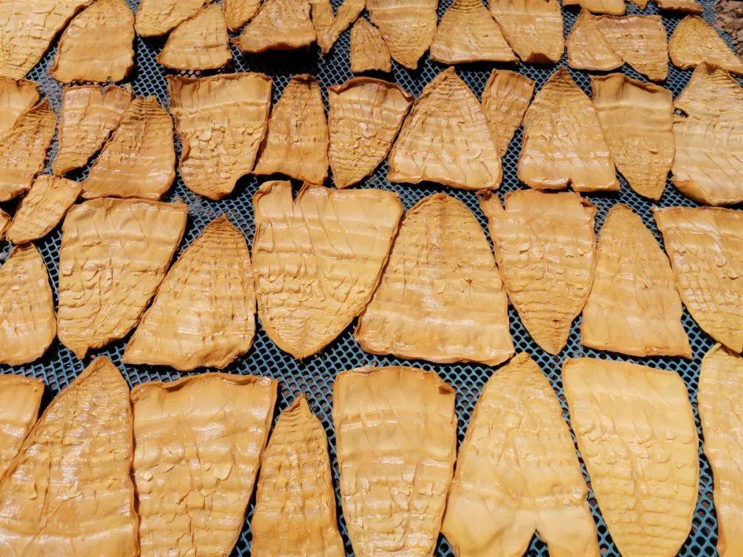 清新这条村的笋迎来收成季,包你吃过翻寻味!_骆坑笋