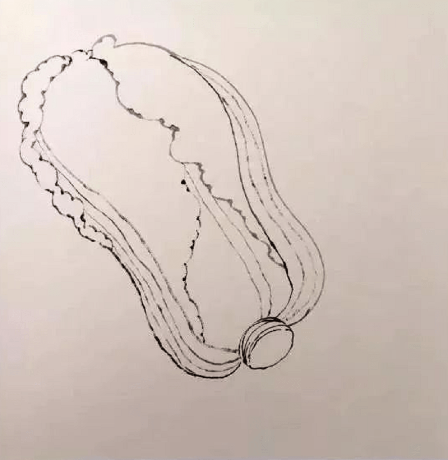 工笔画《白菜》绘制步骤示范