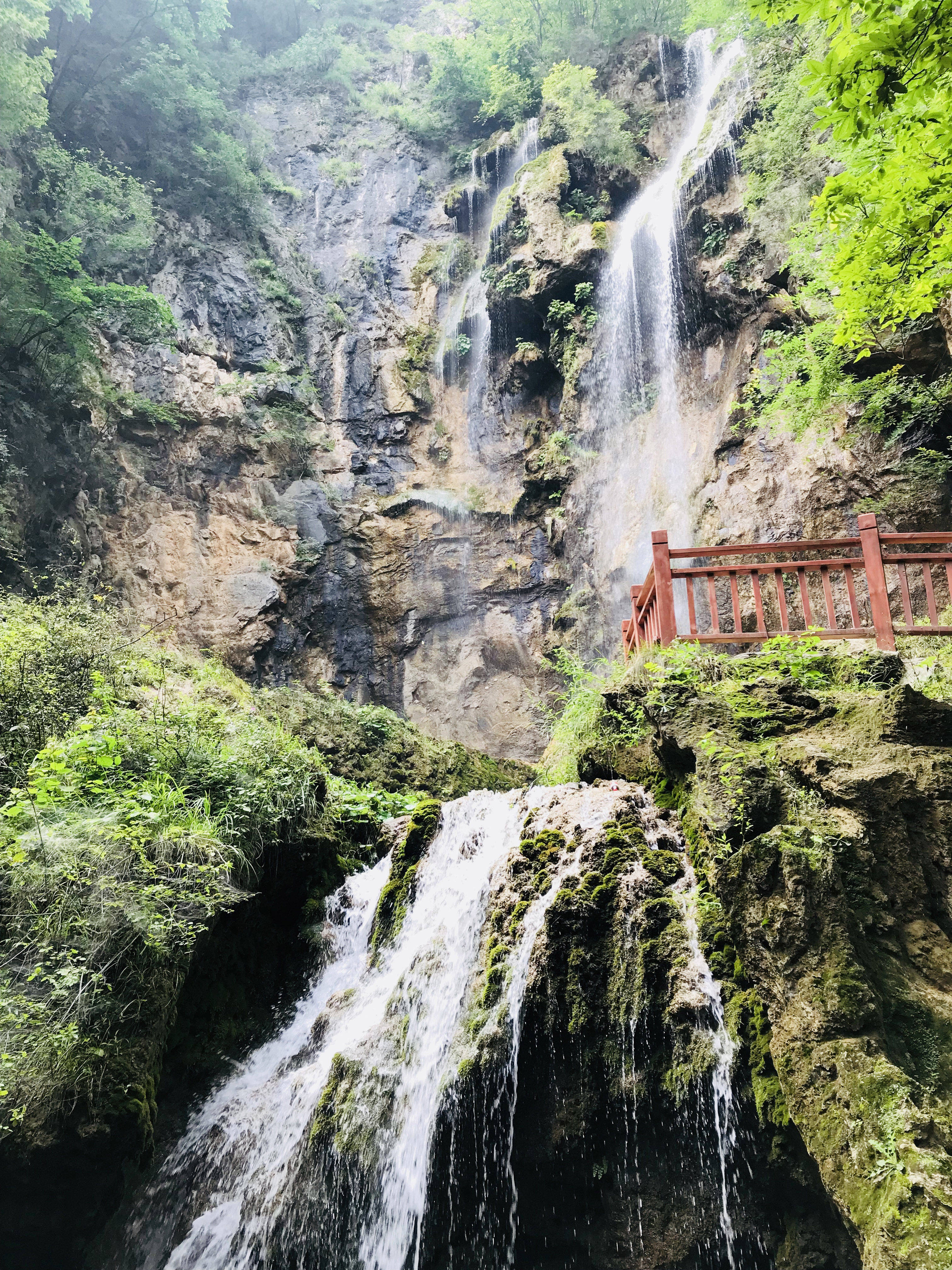 河南洛阳4a级景区王府竹海,栾川山水游首选,距洛阳车程1