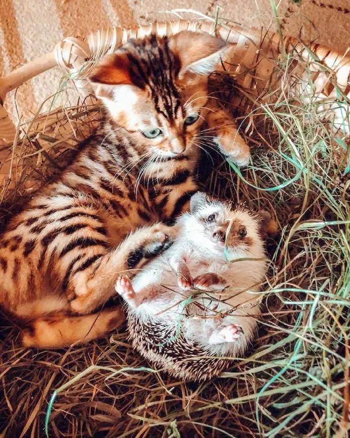 图片[10] - 【xizi被窝段子20200828】别跟往事干杯 往事都快吐了 - xizi