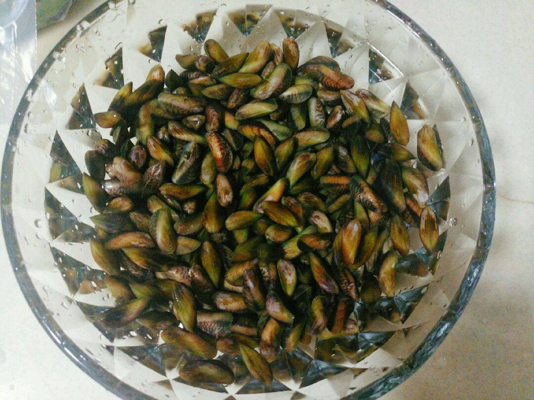 海鲜中的"瓜子",8月正是肥美时,壳薄肉多,潮汕做法很下酒