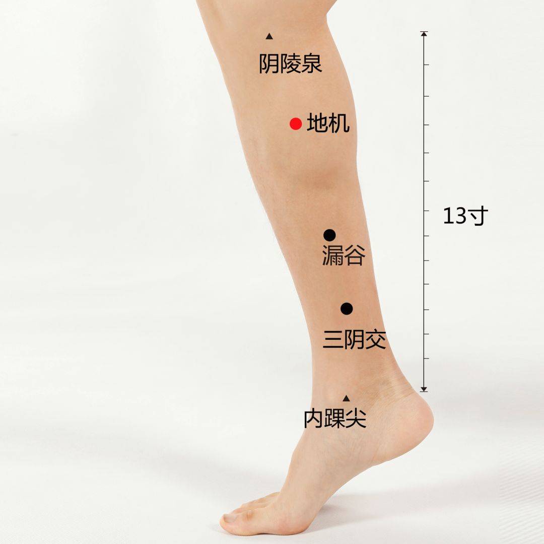 57个实用穴位人人都能用得到一看就懂