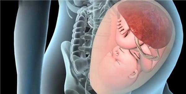 胎儿入盆的肚子照片图片