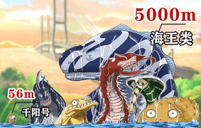 海贼王身高对比图,海王类以5000米称霸,路飞身高不及白胡子膝盖_手机