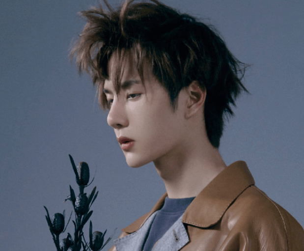 原创开学前一天,15岁少女离家出走,非要去北京见偶像王一博