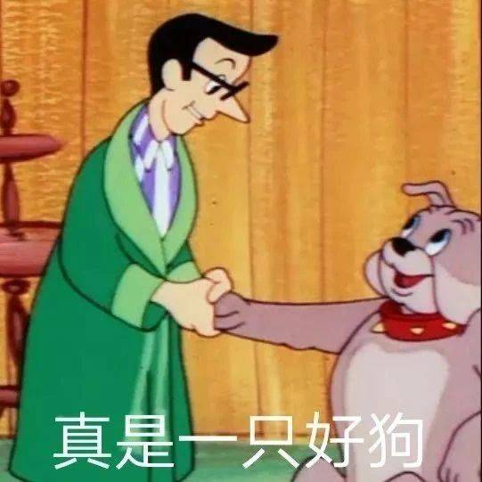 热门表情包图片:看我怎么,好好表扬你