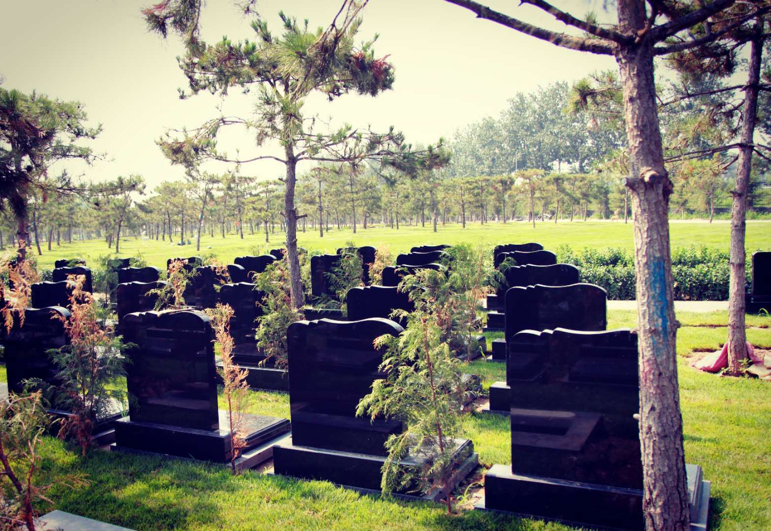 人文化,生态化,景观化,园林化的张家湾公墓_墓园