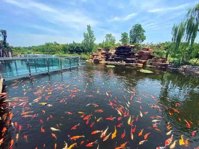 图片来源:泰山天颐湖旅游度假区泰山西湖组图摄影 | 韩涛东平湖摄影