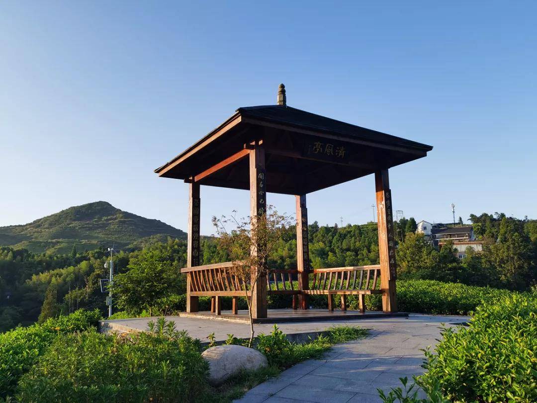 【茗边聚焦】茶梦丽景:平阳黄汤茶博园