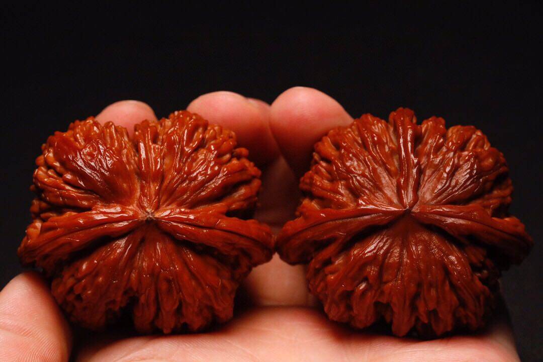 文玩核桃三不玩染色阴皮天然黄