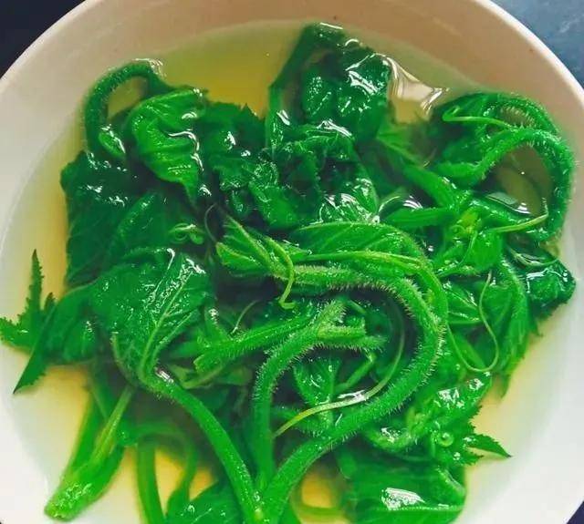 宜宾这个县的人做道菜什么调料都不放还特受全县人喜欢你会吃吗