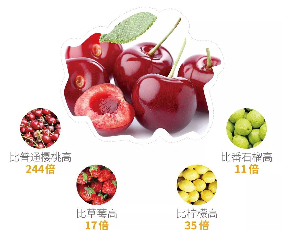 与合成维生素c相比,针叶樱桃不仅含有维生素c,还含维生素p(生物类黄酮