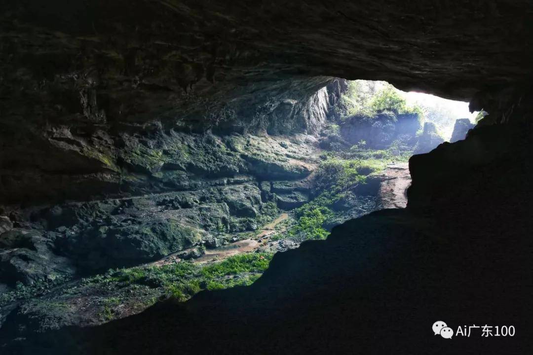 妈老妈我想家啦我想回咱们的韶关山区小镇罗坑了我想回去玩