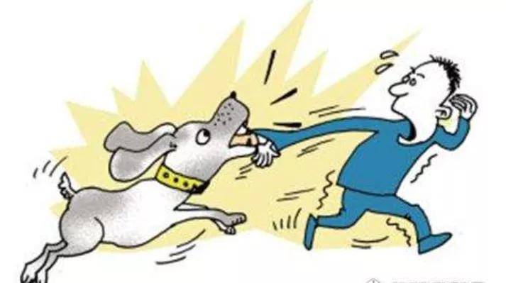 以案说法 | 流浪狗伤人,投喂者是否应该担责?_动物