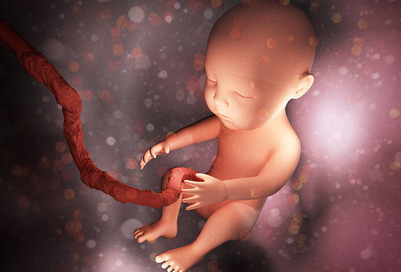 脐带间充质干细胞科普-爱的脐迹