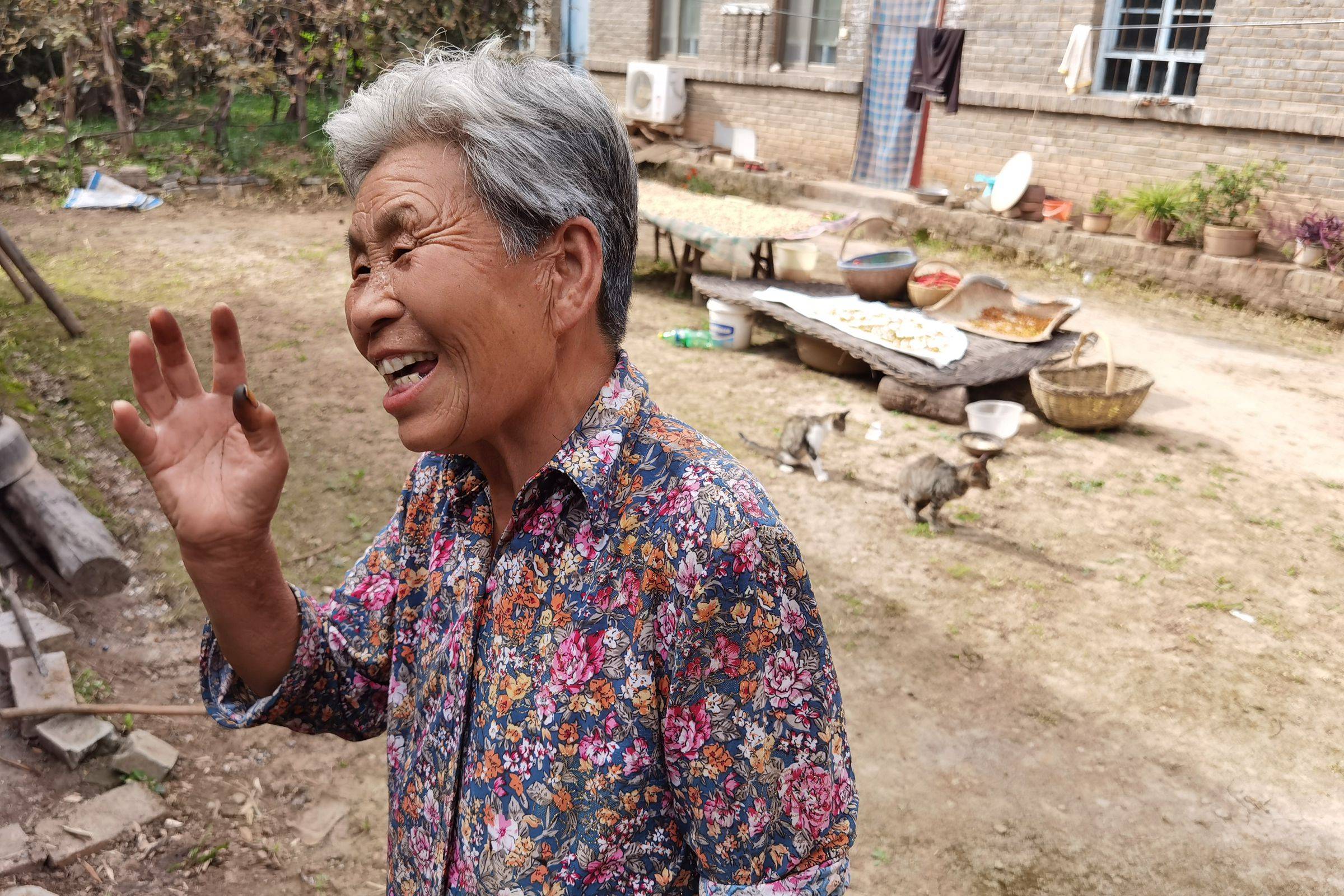 74岁老人留守深山,种6亩地靠山吃山,月收入4000元有情况