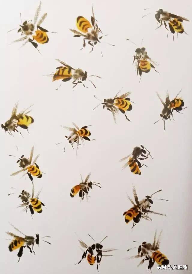 迷人小蜜蜂是这么画出来的!简单易学