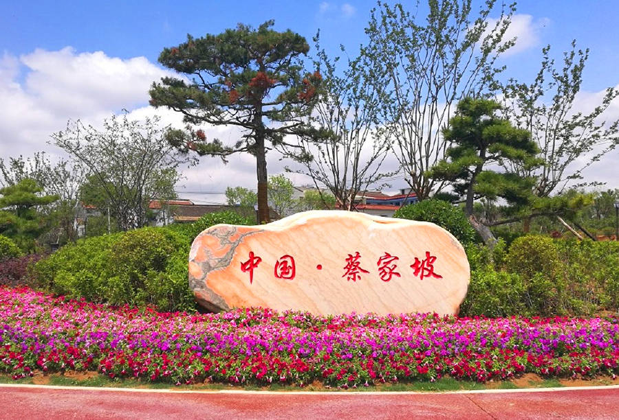 世界的新加坡,中国的蔡家坡:是谁给了陕西岐山县这个镇的勇气?