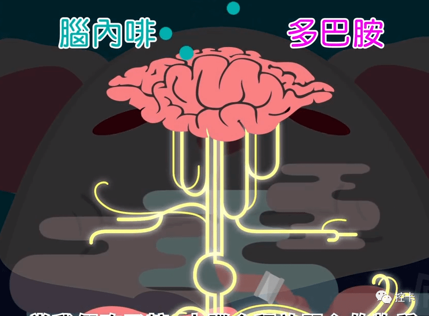 吃甜使你快乐也可能让你更不快乐