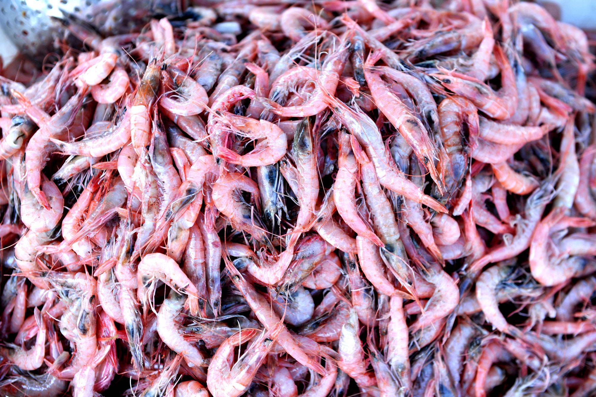 嘉鹏-澳门骰宝机有猫腻