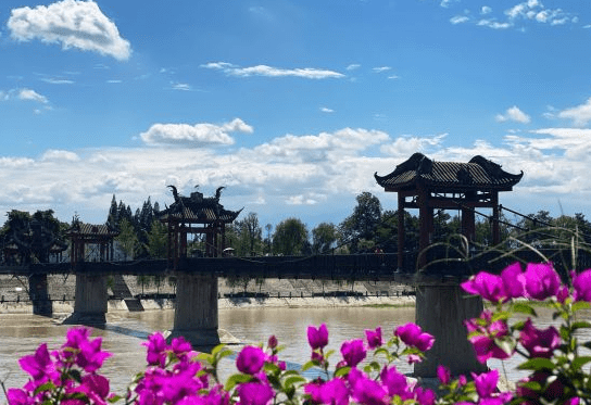 成都郊区有个独特魅力古镇,被赞清明上河图实景,院巷老生活