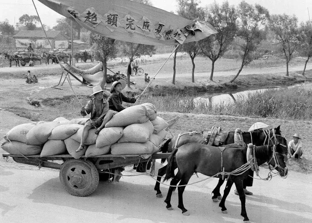 无偿交30多年公粮的农民已经老了走不动了看哭