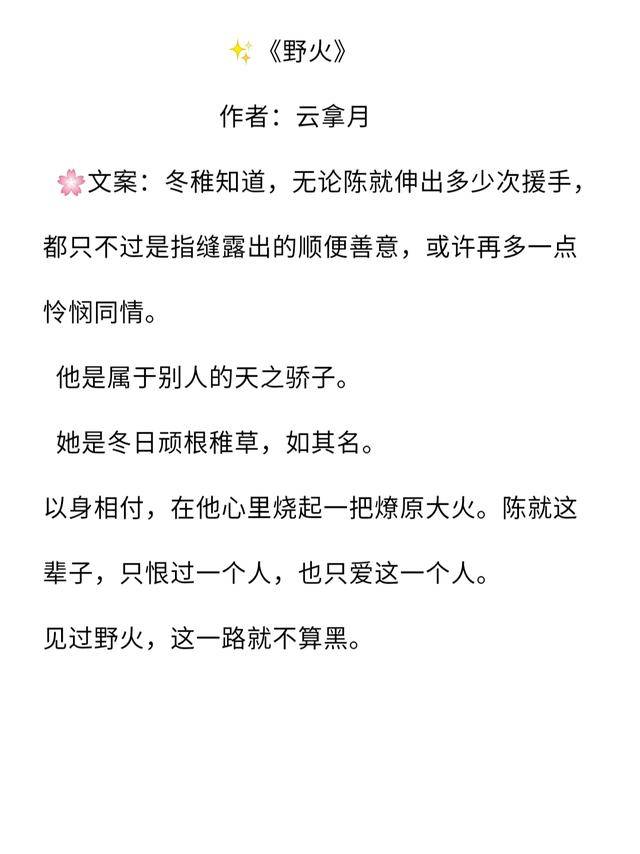 30小说推荐:宝藏作者云拿月小说推荐,刚熬夜看完《十三幺》,又入坑